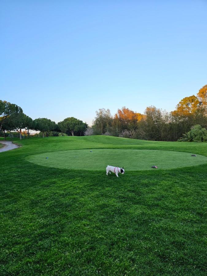 Citadela I, Golfe, Pool And Falesia Beach Vilamoura Exterior foto